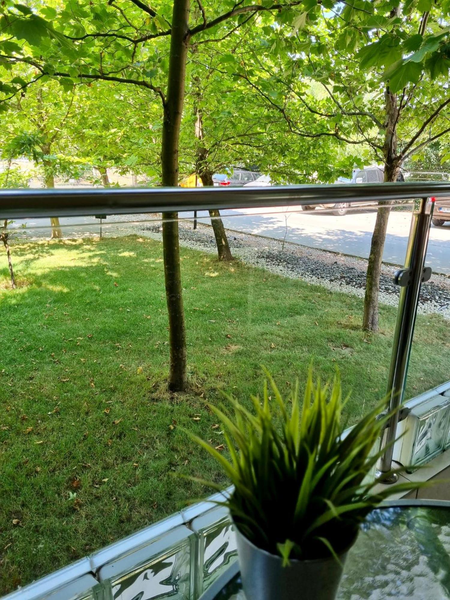 Close To Bucharest Airport & Therme-Self Check-In Otopeni Exterior foto